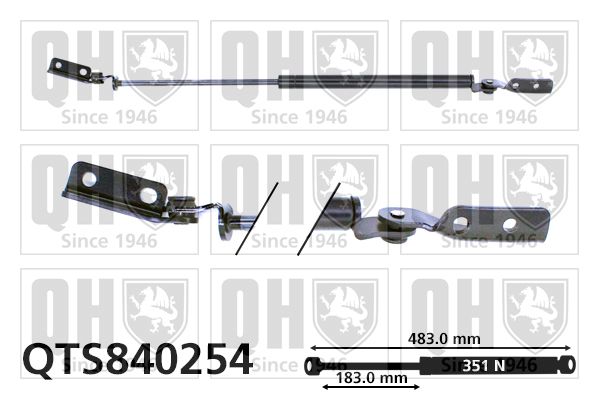 QUINTON HAZELL Газовая пружина, крышка багажник QTS840254